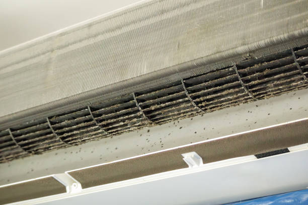 Ductwork Cleaning Services in Pleak, TX